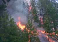 В Хакасии горел лес