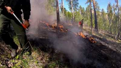 Лесные пожарные в Хакасии дважды тушили лес
