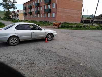 В Хакасии юный водитель мопеда врезался в иномарку