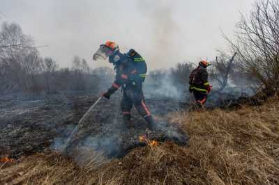 Совместная противопожарная экспедиция пройдет в Хакасии