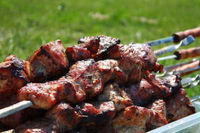 Шашлычный пикник в Хакасии: цены на мясо и штрафы за огонь