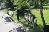 Вывезли скамейки и деревья: в парке Абакана началась реконструкция