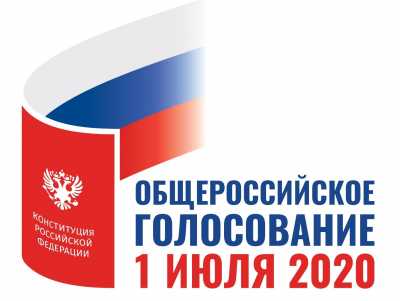 Голосование по поправкам в Конституцию России: необходимо, безопасно, удобно