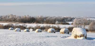 Из-за снега аграрии Хакасии получили более 103 млн рублей