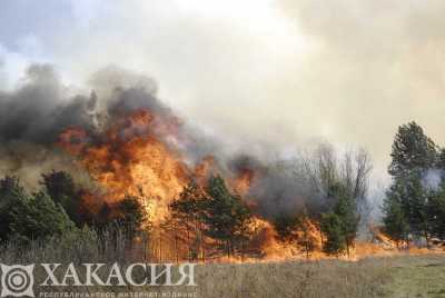 В Хакасии лес горит чаще