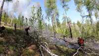 Более 20 га леса горит в Хакасии