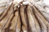 Мех хакасского соболя продают на международном аукционе