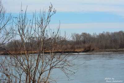 На реке Абакан поют птицы и шумит проснувшаяся вода