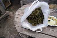 Мешок марихуаны нашли полицейские у жителя станции Хоных