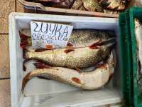 30 килограммов рыбы изъяла полиция в Абакане