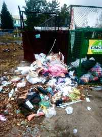 О свалке рядом с мусорными баками абаканцы сообщили в Минстрой РХ