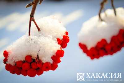 В Хакасии ожидается снег