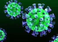 Как отличить сезонную аллергию от коронавируса?