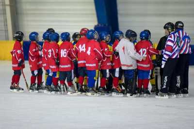 Межрегиональный турнир по хоккею с мячом соберет спортсменов со всей Сибири