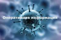 Оперативная информация по заболеваемости коронавирусом в Хакасии на 8 августа