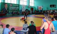 В Хакасии прошел региональный турнир по вольной борьбе