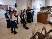 В главном музее Хакасии ждут детей