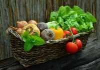 Международный год овощей и фруктов в Хакасии отметят выставками