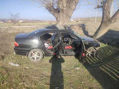 Повысил градус: пьяный водитель взял на таран дерево в Аскизском районе