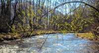 Дожди повысили уровень воды в реках Хакасии