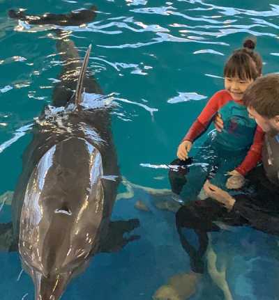 Общение с дельфинами порадовало всех. Во время сеанса улыбались не только дети и их мамы, но и сами обитатели бассейна — Молли и Сири. 