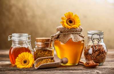 В Словении хотят покупать хакасский мёд