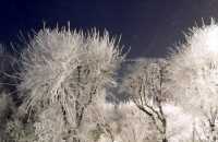 Ветер задержится в Хакасии и приведет с собой снег