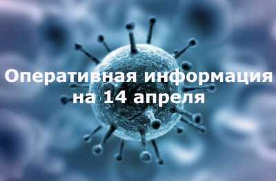 Оперативная информация о коронавирусе в Хакасии на 14 апреля