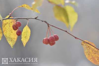 Жителей Хакасии ожидает холодный и дождливый октябрь
