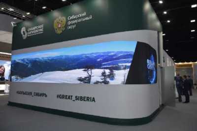 Экспозиция &quot;Большая Сибирь&quot; на ПМЭФ-2021: прямая трансляция