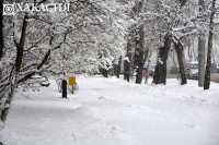В Абакане снова ждут снег