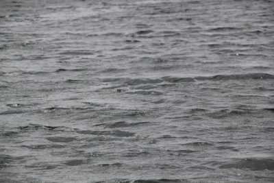Трагедия на воде: ещё один подросток утонул в Хакасии