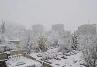 Снег погрузил Красноярский край во тьму