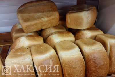 В Хакасии хлеб прячут от переносчиков инфекции