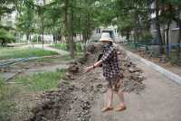 Ирина Панченко убеждена, что расширение проезжей части повредит лиственницам. 