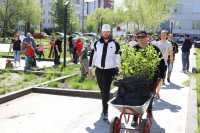Волонтеры РУСАЛа высадили более 150 деревьев и кустарников в Саяногорске