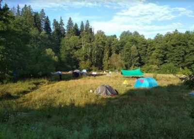 Туристам советуют не ставить палатки под деревьями в Хакасии