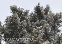 В Хакасии в день солнцестояния будет снег и туман