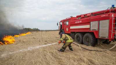 В Кузбассе лесной пожар перекинулся на третий населенный пункт