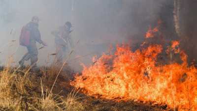 Ветер осложняет обстановку: огонь продолжает терзать Хакасию