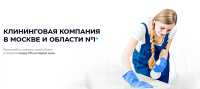 Заказала клининг и ни разу не пожалела: компания Клинон помогла избавиться от плесени на стенах