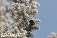 В Хакасии прогнозируют ветер, снег и гололедицу