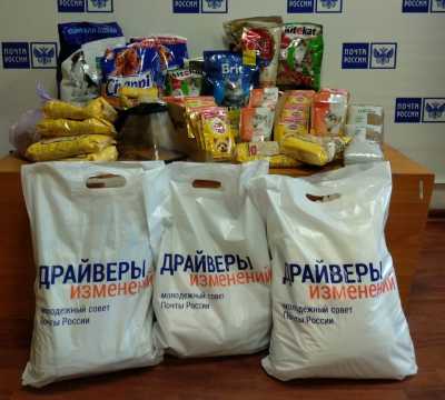 В Хакасии бездомным животным помогли сотрудники Почты