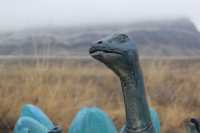 Гнездо динозавра показал заповедник в Хакасии