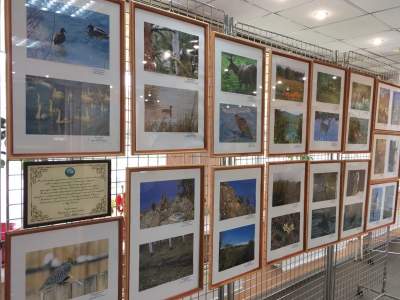 В Абакане открылась детская фотовыставка о природе
