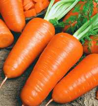 Не навреди моркови