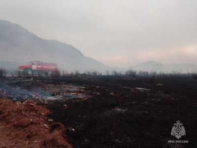 Фронт огня десять километров: крупный пал травы в Усть-Абаканском районе