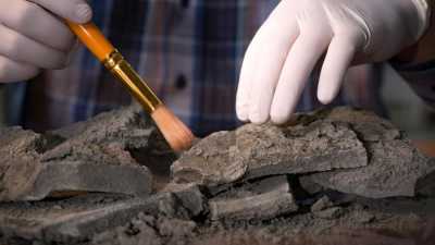 Тысячи артефактов нашли в древнем могильнике V века под Красноярском