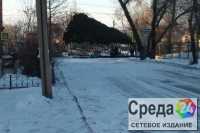 Видео падающей в Минусинске ёлки разошлось по соцсетям