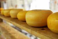 Саяногорцу не удалось украсть 16 килограммов сыра